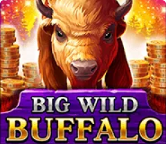 Big Wild Buffalo